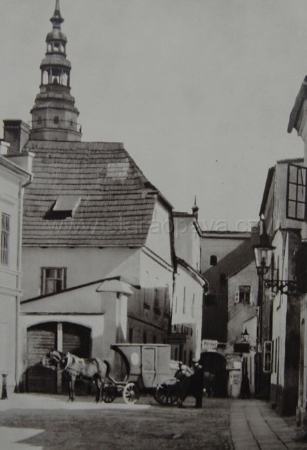 ruzova.jpg